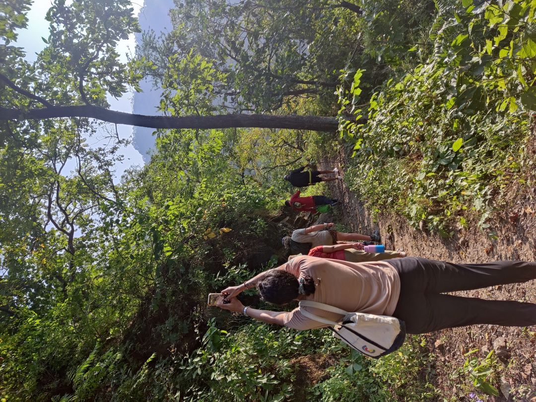 Wilderness recharge-4